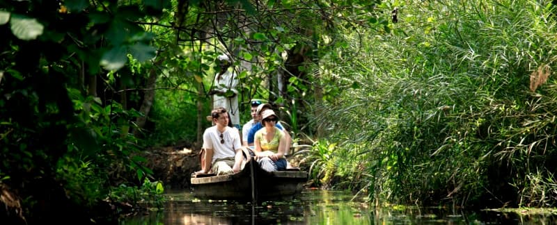 Traditional country boat on Kollam backwaters surrounded by coconut palms, Kerala