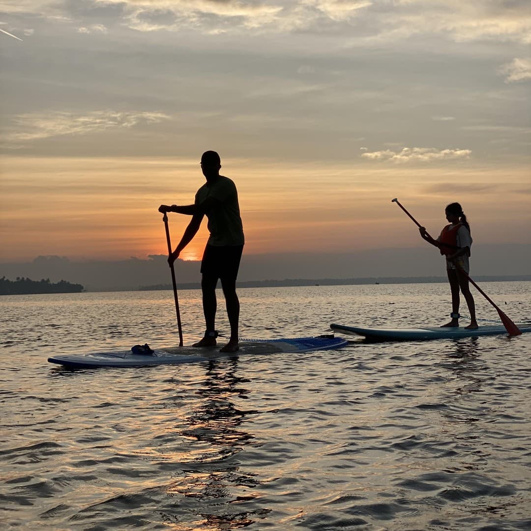 Stand-up paddleboarding on calm mangrove backwaters, Nedungolam Kollam